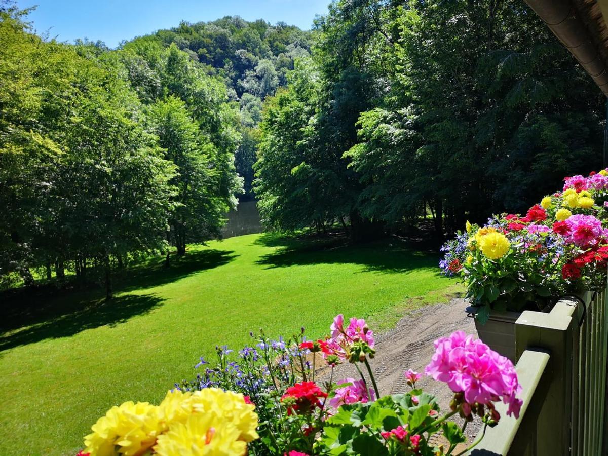 Auberge De La Plage Baraize Экстерьер фото